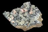 Cerussite Crystals with Bladed Barite on Galena - Morocco #128016-2